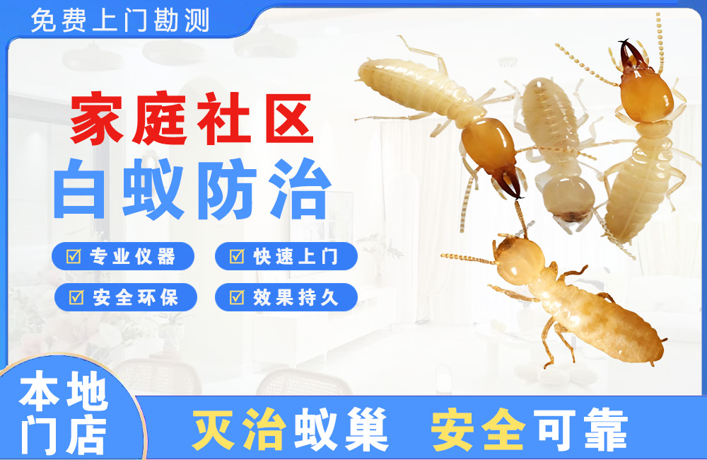 瑞昌家庭社区白蚁防治