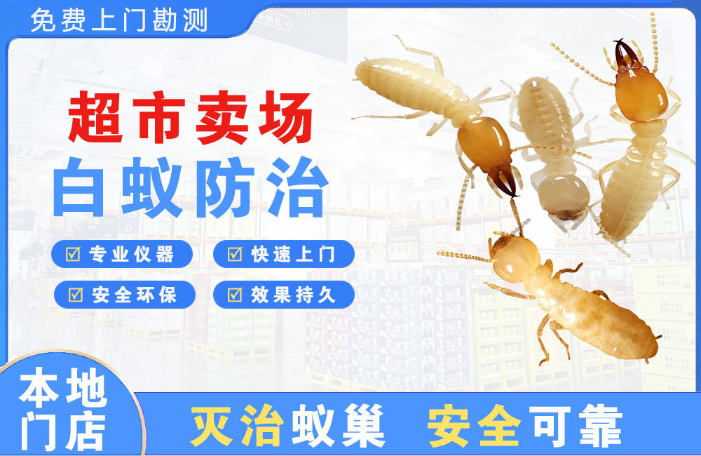 瑞昌超市卖场白蚁防治
