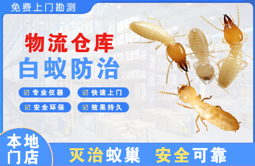 瑞昌物流仓库白蚁防治