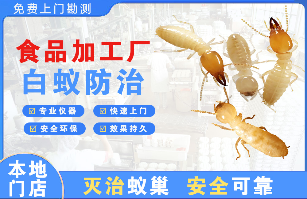 瑞昌食品加工厂白蚁防治