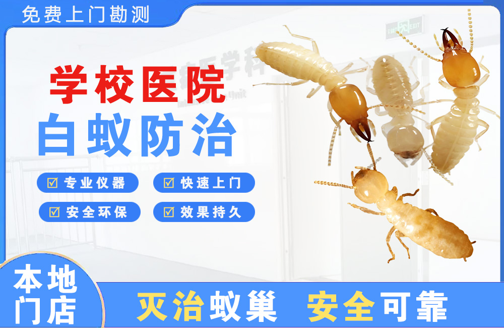 瑞昌学校医院白蚁防治