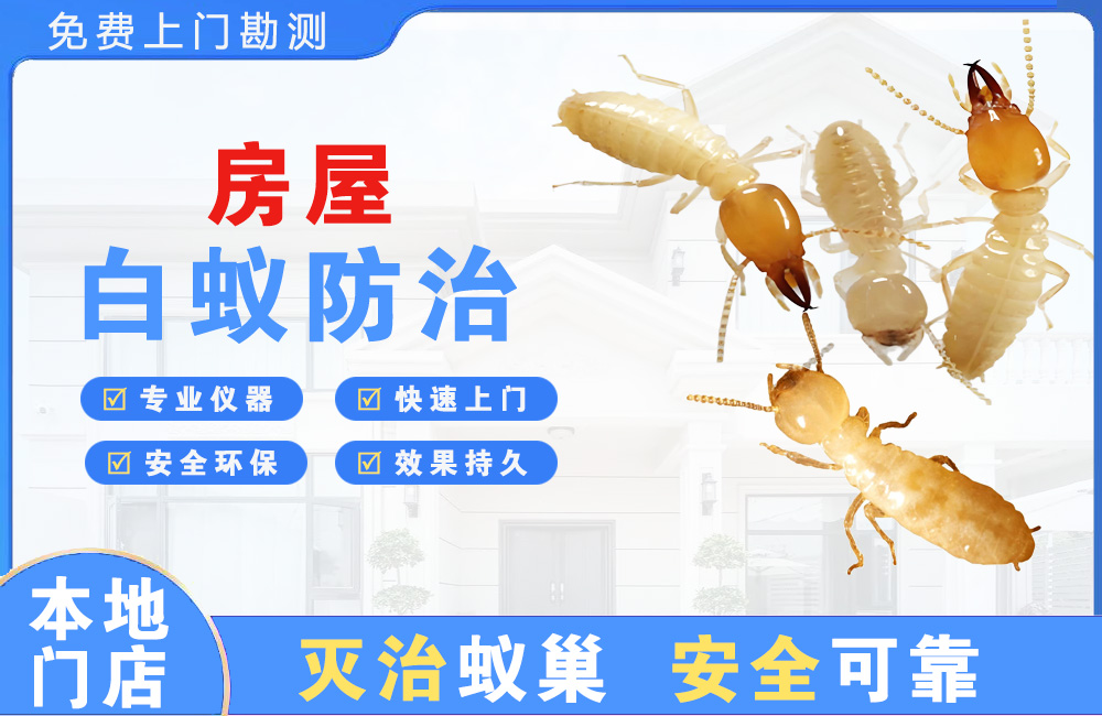 瑞昌房屋白蚁防治