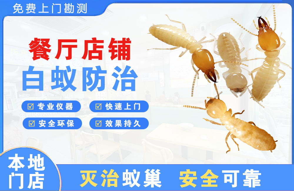瑞昌餐厅店铺白蚁防治